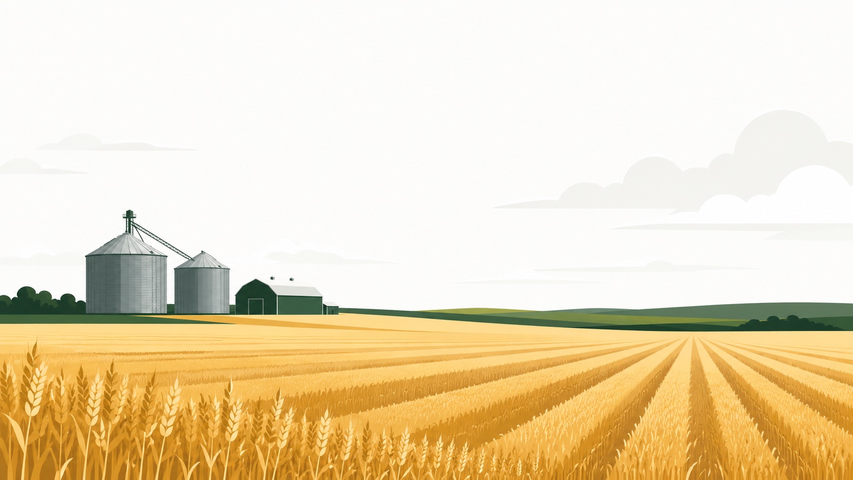 Illustration of a prairie grain farm at harvest — wheat rows, grain bins, and a barn under a big sky